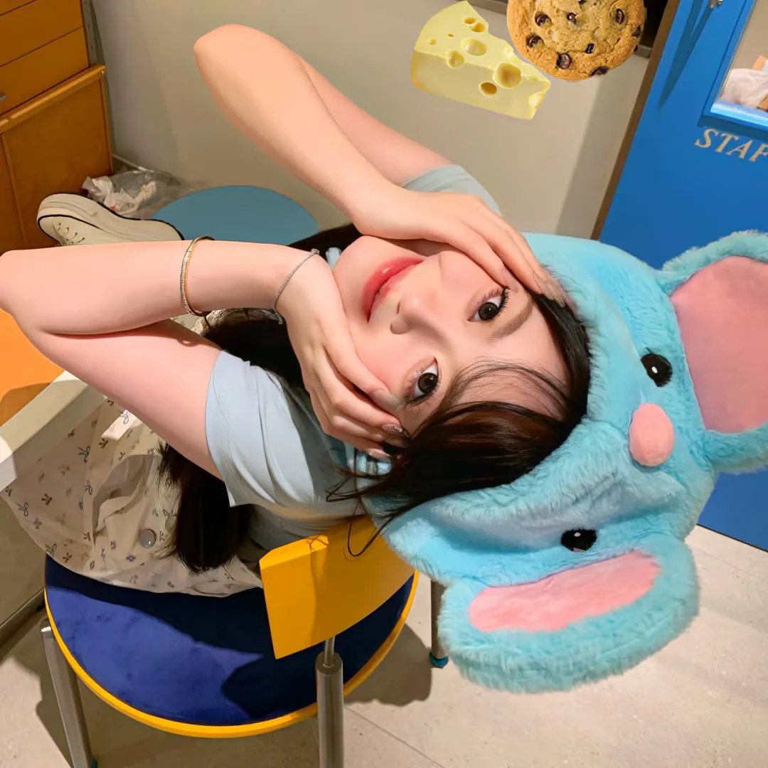 校园合唱团的秘密